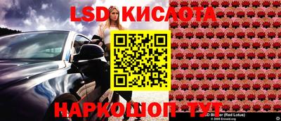 индика Новокубанск