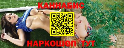 индика Новокубанск