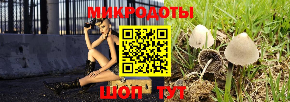 Псилоцибиновые грибы мицелий Туапсе
